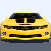 Crazy Car Driver icon
