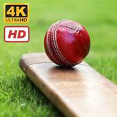 Cricket Wallpapers HD 4K v3.0