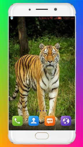 Tiger Wallpaper HD screenshot 7