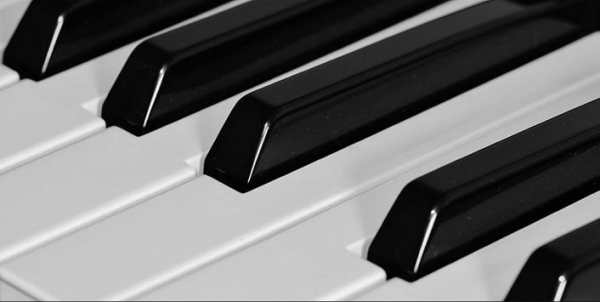 Learn to play the piano easily screenshot 6