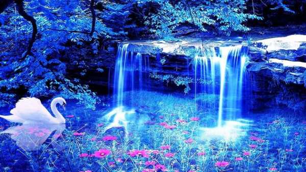 Water Wallpaper screenshot 3