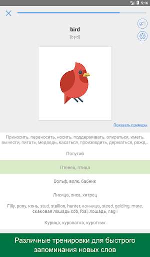 Мой Словарь: полиглот (учим только нужные слова) скриншот 11