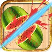 Fruit Of Ninja 1.1