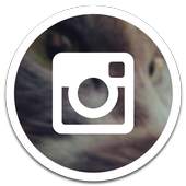 MuzeiGram. Instagram for Muzei 1.2.0