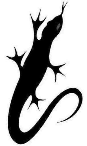 900.Free Tribal Tattoo Designs screenshot 4