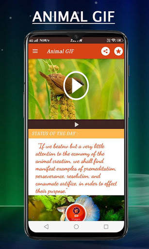 Animal Gif Stickers screenshot 14