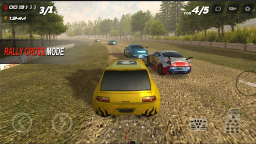 Super Rally 3D screenshot 3