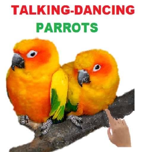 Talking Parrot dancing fun أيقونة