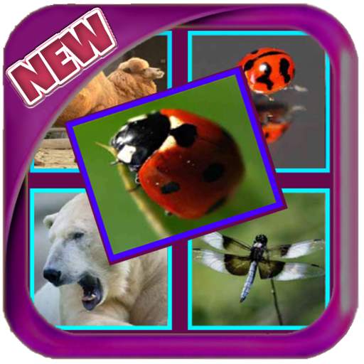 Quiz World - Fauna Game 3.4
