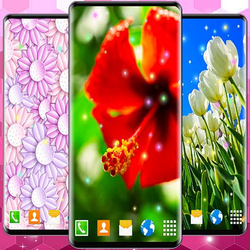 Animated Wallpaper For Xiaomi 6.9.7