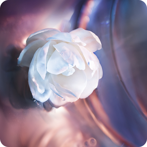 Flower Theme For AppLock icon