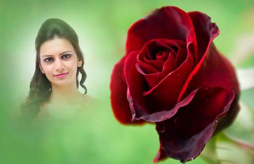 Red Rose Photo Frames screenshot 4