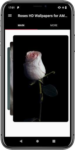 Roses HD Wallpapers for AMOLED screenshot 4