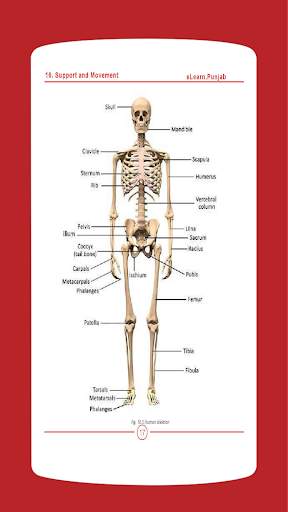 Biology 12 Punjab Textbook (Offline) screenshot 3