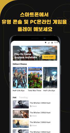 Netboom screenshot 3