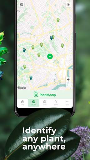 PlantSnap Pro - Identify Plants, Flowers & Trees screenshot 5