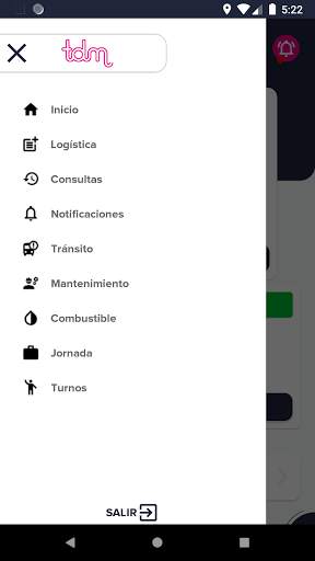 TDM Transportes 3 تصوير الشاشة