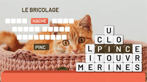 Tour des Mots: Mots Mêlés screenshot 3