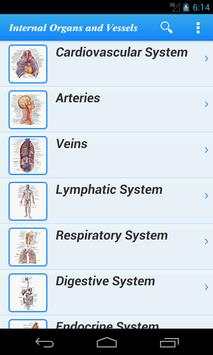 Human Anatomy II Lite screenshot 1