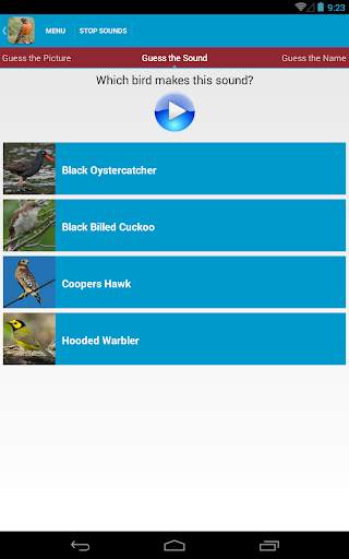 North American Birds Free screenshot 13