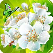 Flower Crush Mania 1.0