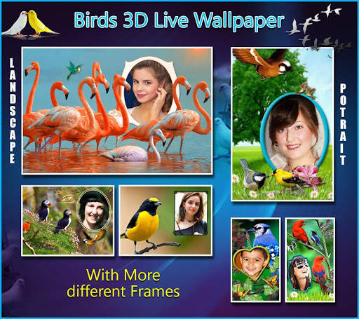 Birds 3D Live Wallpaper screenshot 8