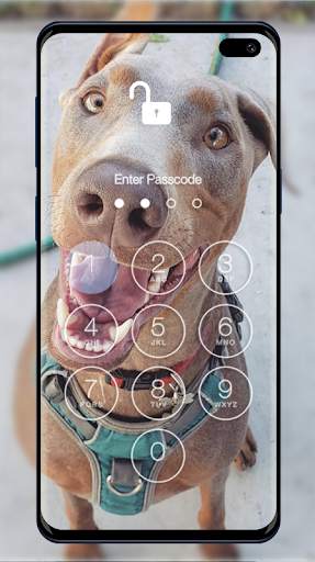 Doberman Wallpapers & Lock Screen screenshot 1