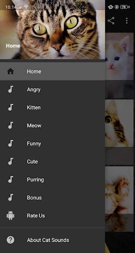 Cat Sounds screenshot 4