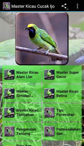 Master Kicau Cucak Ijo screenshot 1