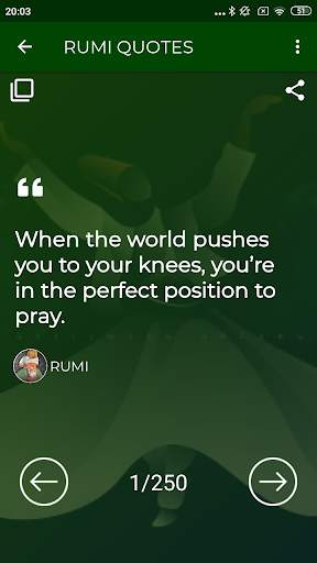 Rumi Quotes Offline screenshot 2
