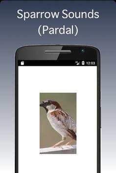 Sparrow screenshot 1