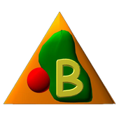Basic Free icon