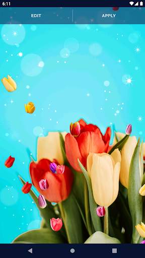 Tulip Spring 4K Wallpapers screenshot 8