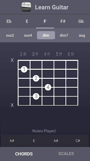 Learn Guitar Chords & Scales screenshot 2