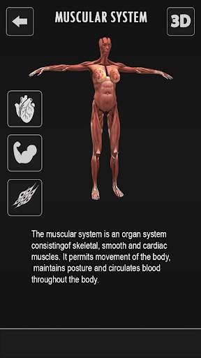 Female Anatomy 3D : Female Body Visualizer screenshot 2