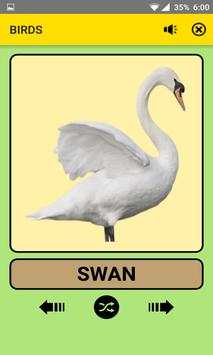 Animals and Birds For Kids : Educational Game screenshot 6