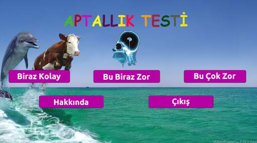 Aptallık Testi screenshot 2