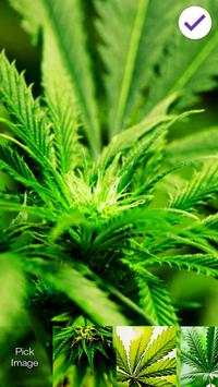 Marijuana Ganja App Lock Screen screenshot 3
