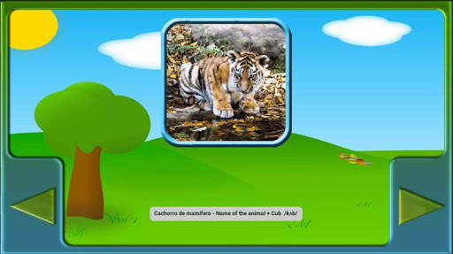 ANIMALES - ANIMALS screenshot 8