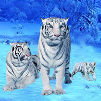 White Tiger Family Simulation logo