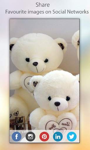 Teddy Bear Wallpapers HD screenshot 6