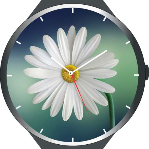 Flowers Animated Watch Faces 1.2