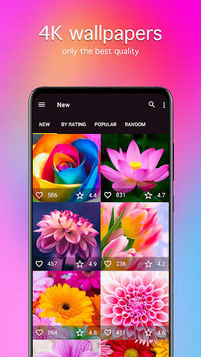 Flower Wallpapers 4K screenshot 2