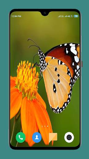 Butterfly Wallpaper 4K screenshot 3