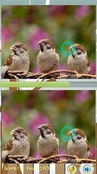 Find Difference Bird Games screenshot 1