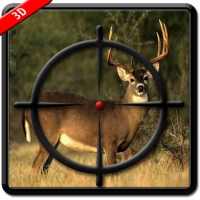 Deer Hunter 4D