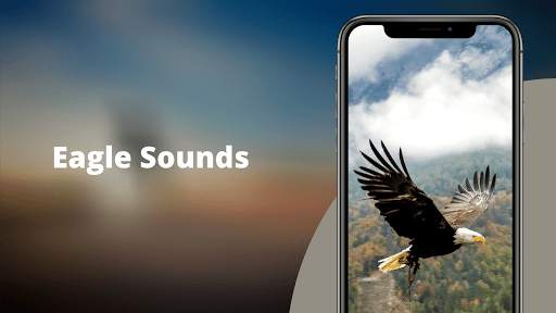 Eagle Sounds - Eagle Sound Ringtone screenshot 2