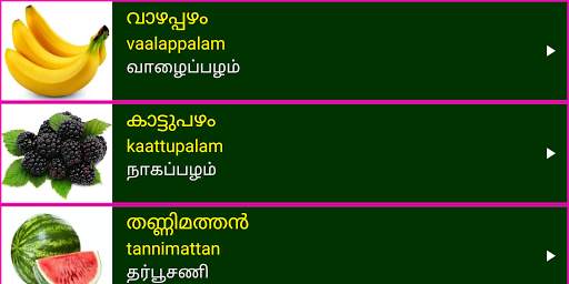 Learn Malayalam From Tamil скриншот 13