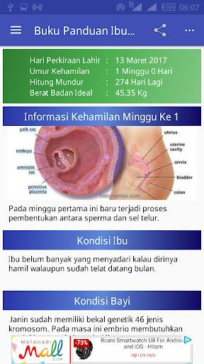 Buku Panduan Ibu Hamil screenshot 6