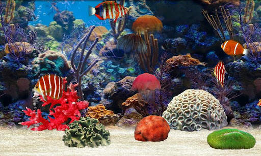 Fish Farm 1 تصوير الشاشة